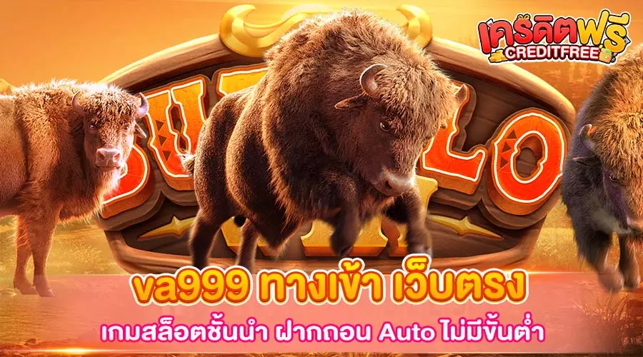 va999 ทางเข้า เว็บตรง